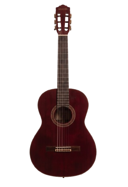 Guitarra de Concierto Granadillo